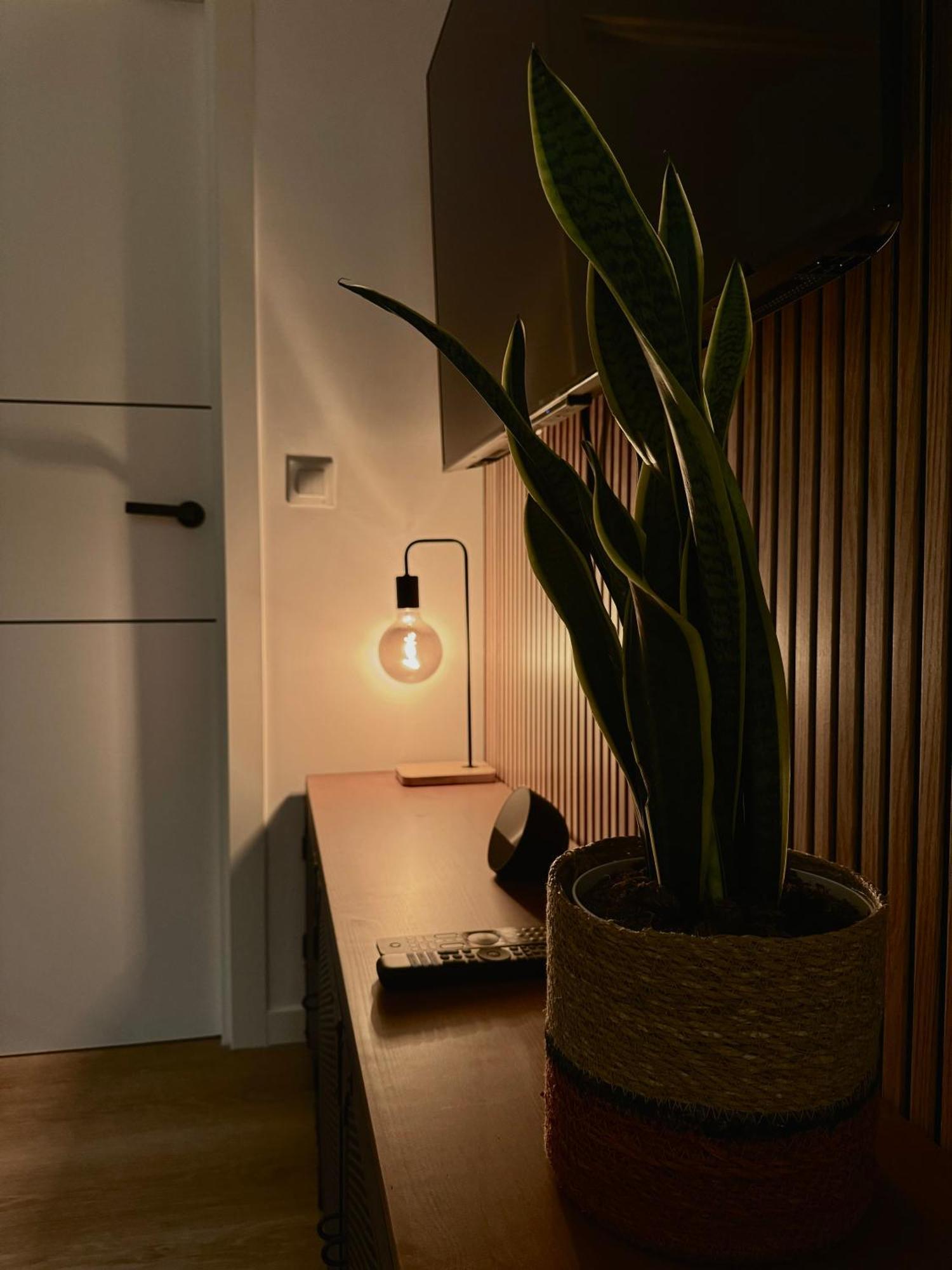Kilometro 22 Luxury Apartment Padron Bagian luar foto